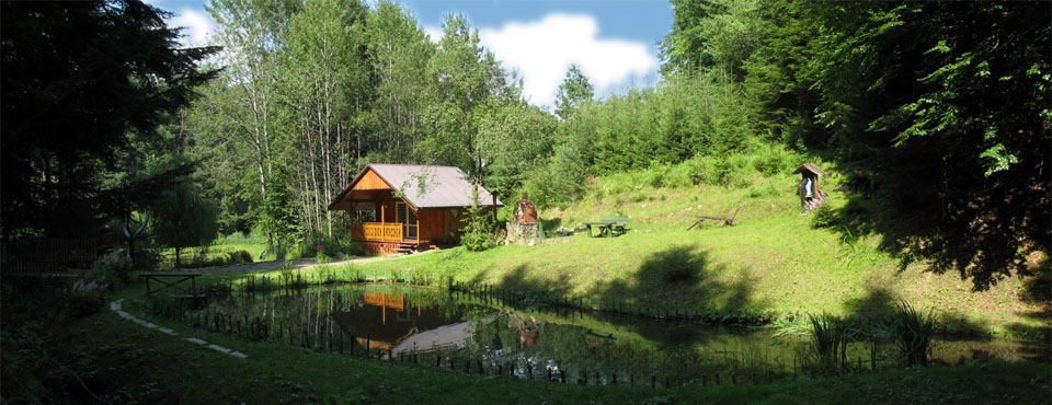 bieszczady - domek nad stawem